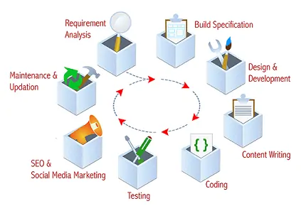 Web Development life cycle 